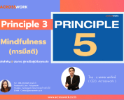 Principle 3 Mindfulness acrosswork